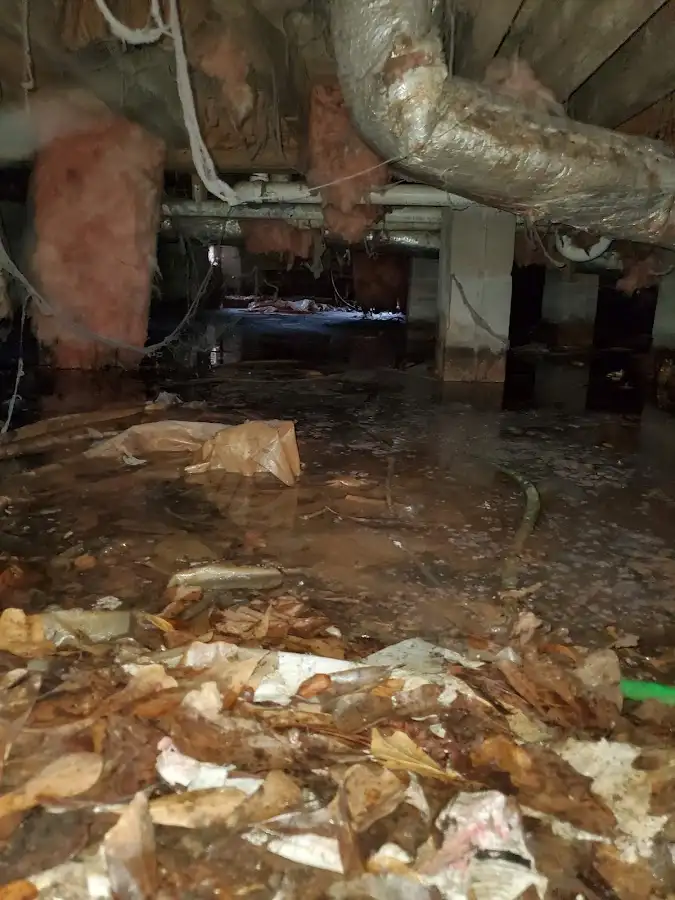 Crawl space flood assessment for Leak Detection & Repair in Mequon
